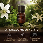 Pure Vanilla Essential Oil, 0.34 Fl Oz - Size reference