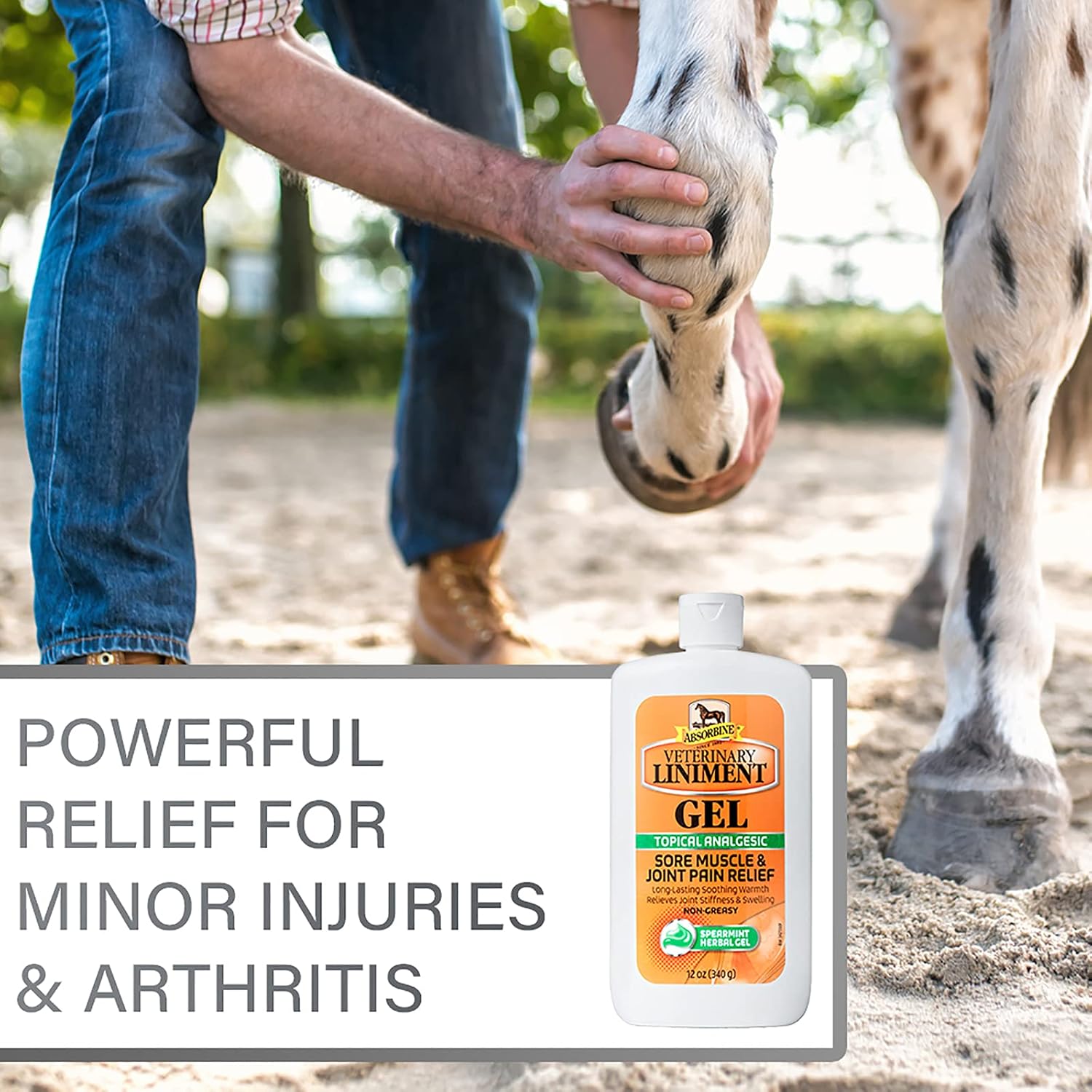 Absorbine Veterinary Liniment Gel, 12 oz - Size reference