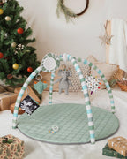 Blissful Diary Baby Play Gym Mat, 6 Toys - Packaging