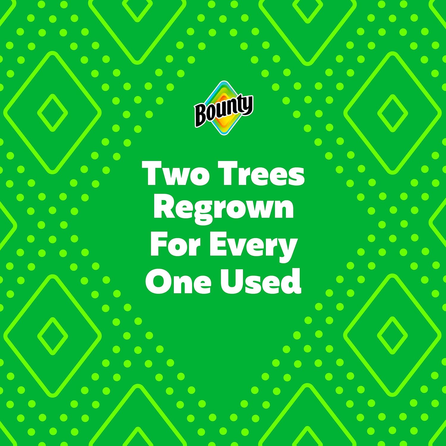 Bounty Select-A-Size Paper Towels 2 Rolls - Alternate angle
