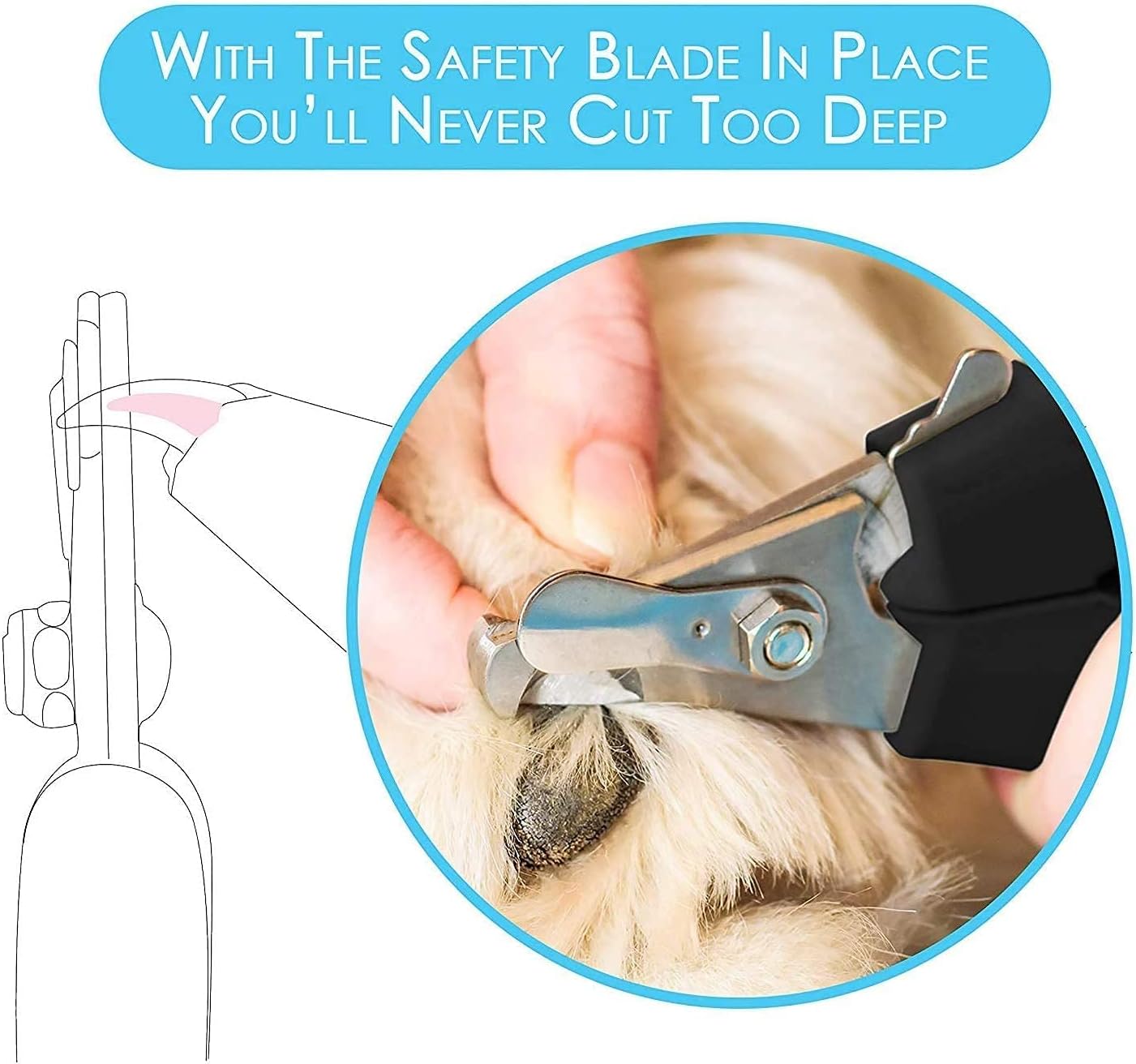 Candure Dog Nail Clippers with Safety Guard - Size reference