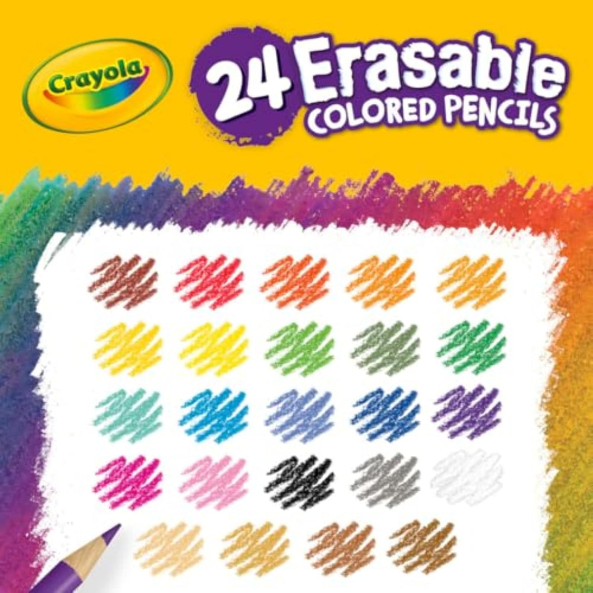 Crayola Erasable Colored Pencils, 24 Count - Size reference