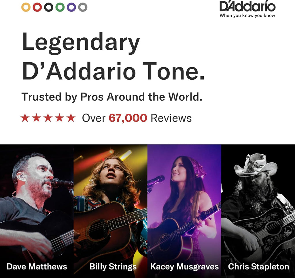 D'Addario EJ16 Acoustic Guitar Strings, Light 12-53 - Detail view