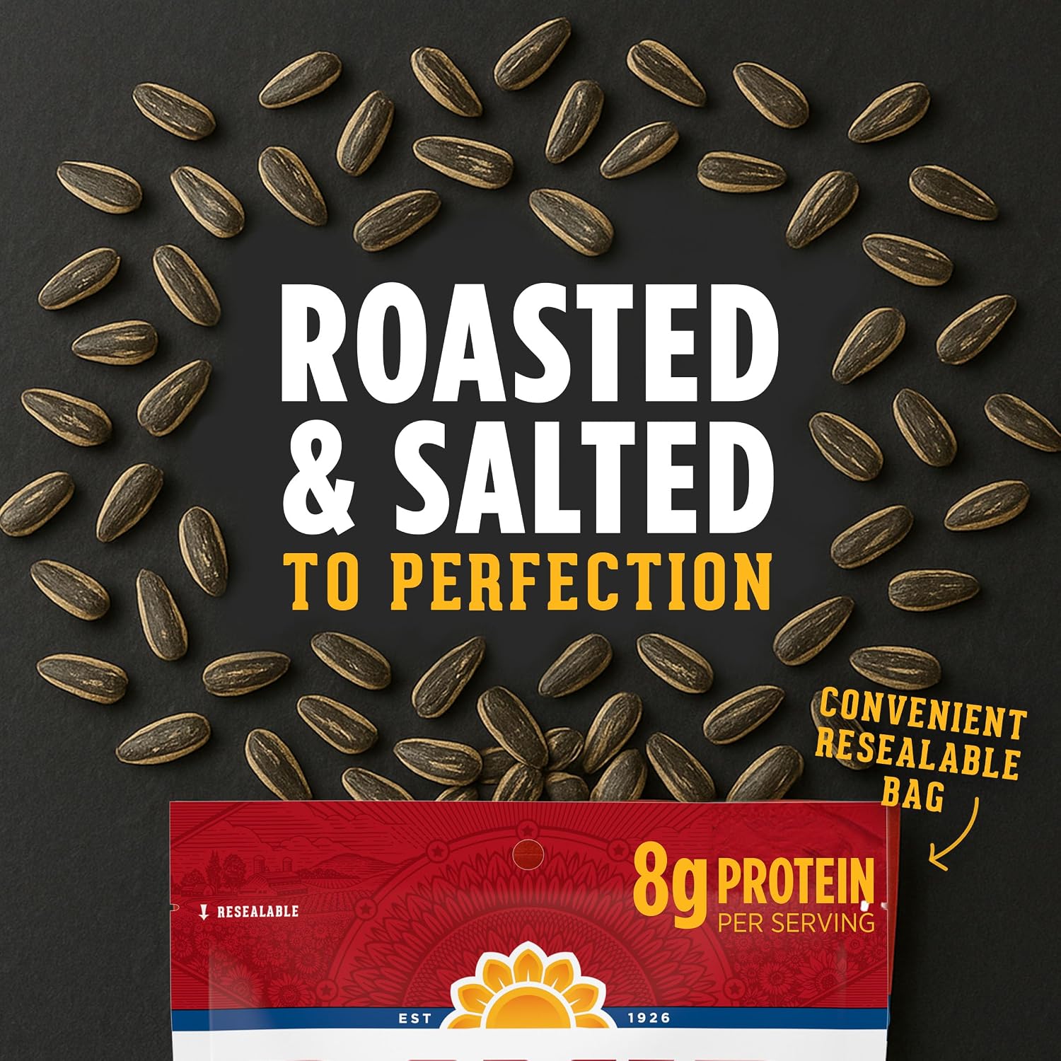 David Jumbo Sunflower Seeds, Original, 16 oz - Close-up
