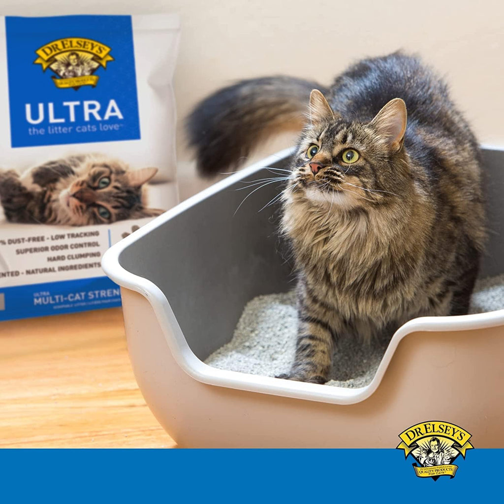 Dr. Elsey's Ultra Unscented Cat Litter 40lb - Size reference
