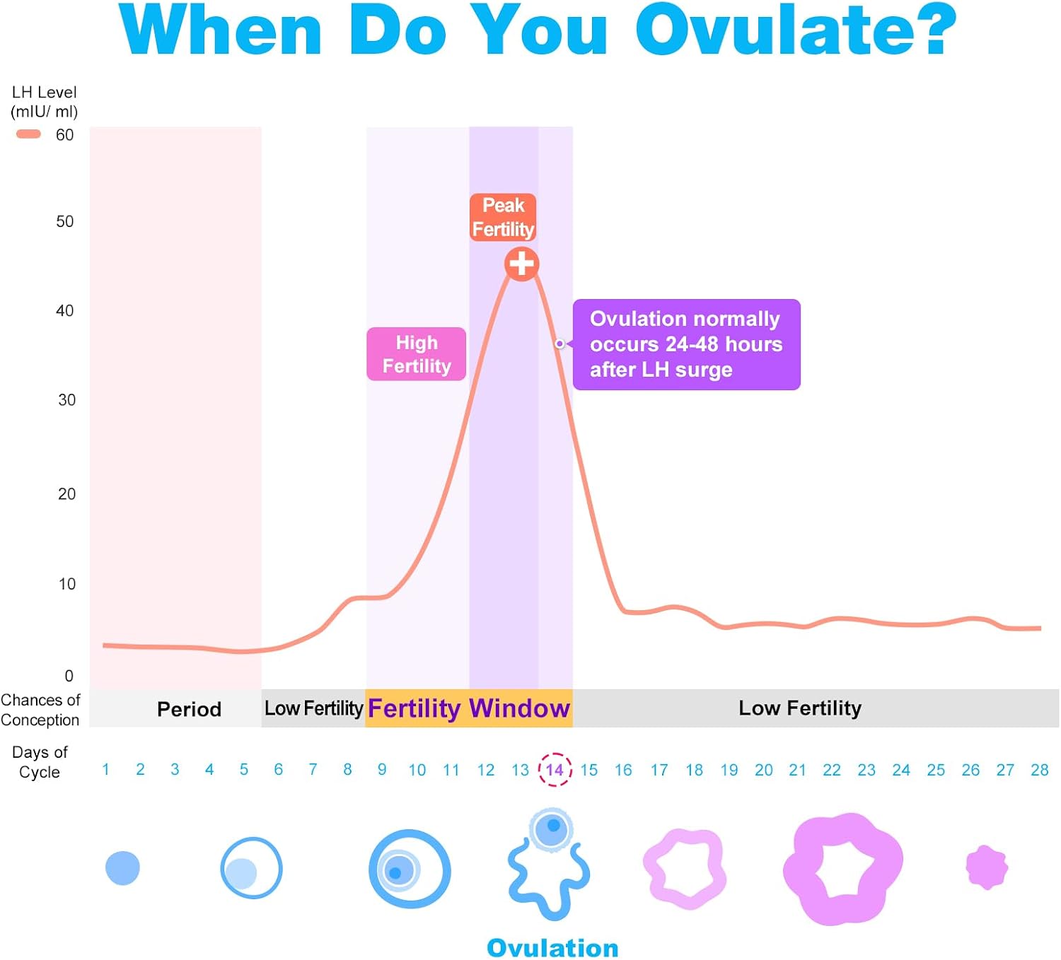 Ovulation and Pregnancy Test Strip Combo Kit - Feature highlight