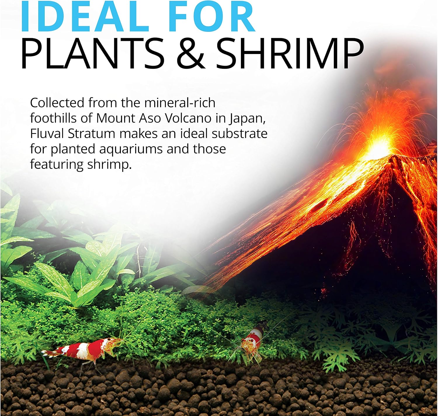 Fluval Plant and Shrimp Stratum, 8.8 lbs - Detail view