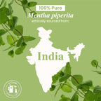 Handcraft Blends Peppermint Essential Oil - Additional view