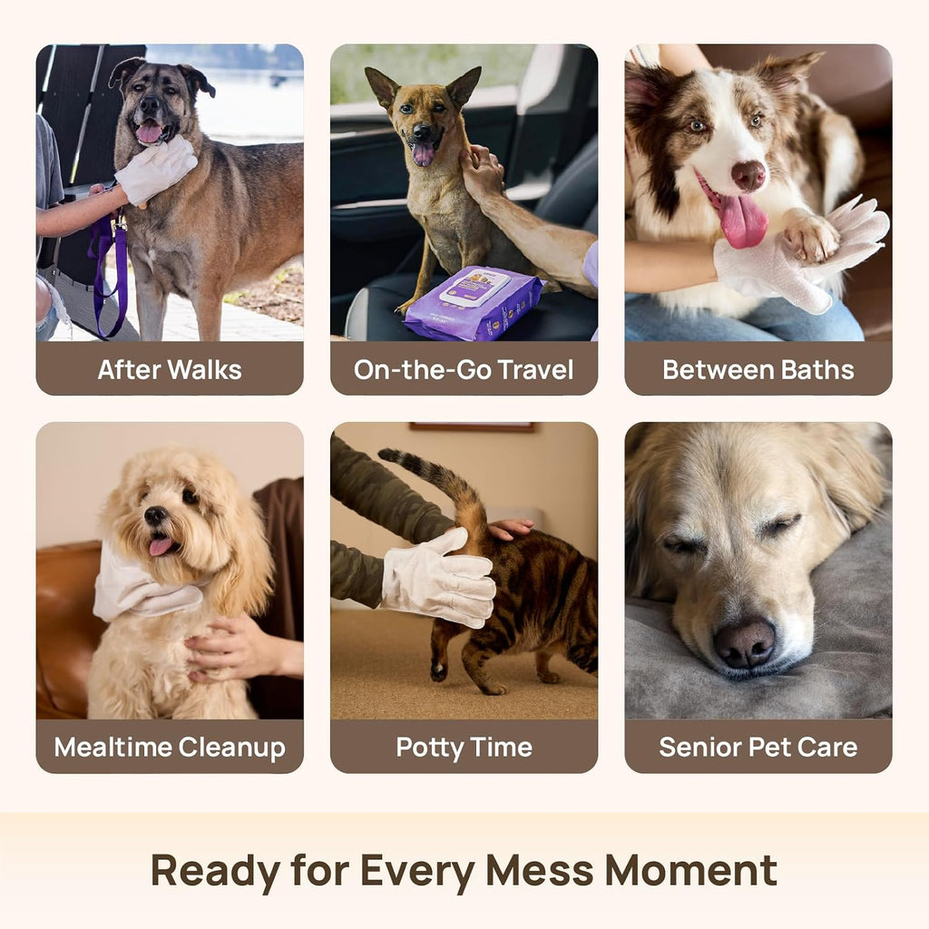 HICC Pet Deodorizing Glove Wipes - Size reference