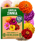 Zinnia Dahlia Flower Seeds Pack, 524 Seeds