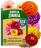 Zinnia Dahlia Flower Seeds Pack, 524 Seeds