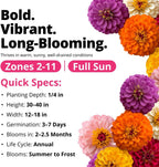 Zinnia Dahlia Flower Seeds Pack, 524 Seeds - Close-up
