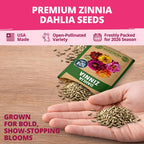 Zinnia Dahlia Flower Seeds Pack, 524 Seeds - Packaging