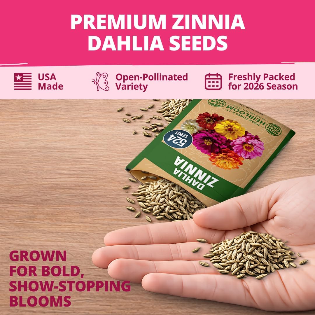 Zinnia Dahlia Flower Seeds Pack, 524 Seeds - Packaging