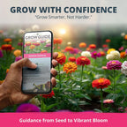 Zinnia Dahlia Flower Seeds Pack, 524 Seeds - Additional view