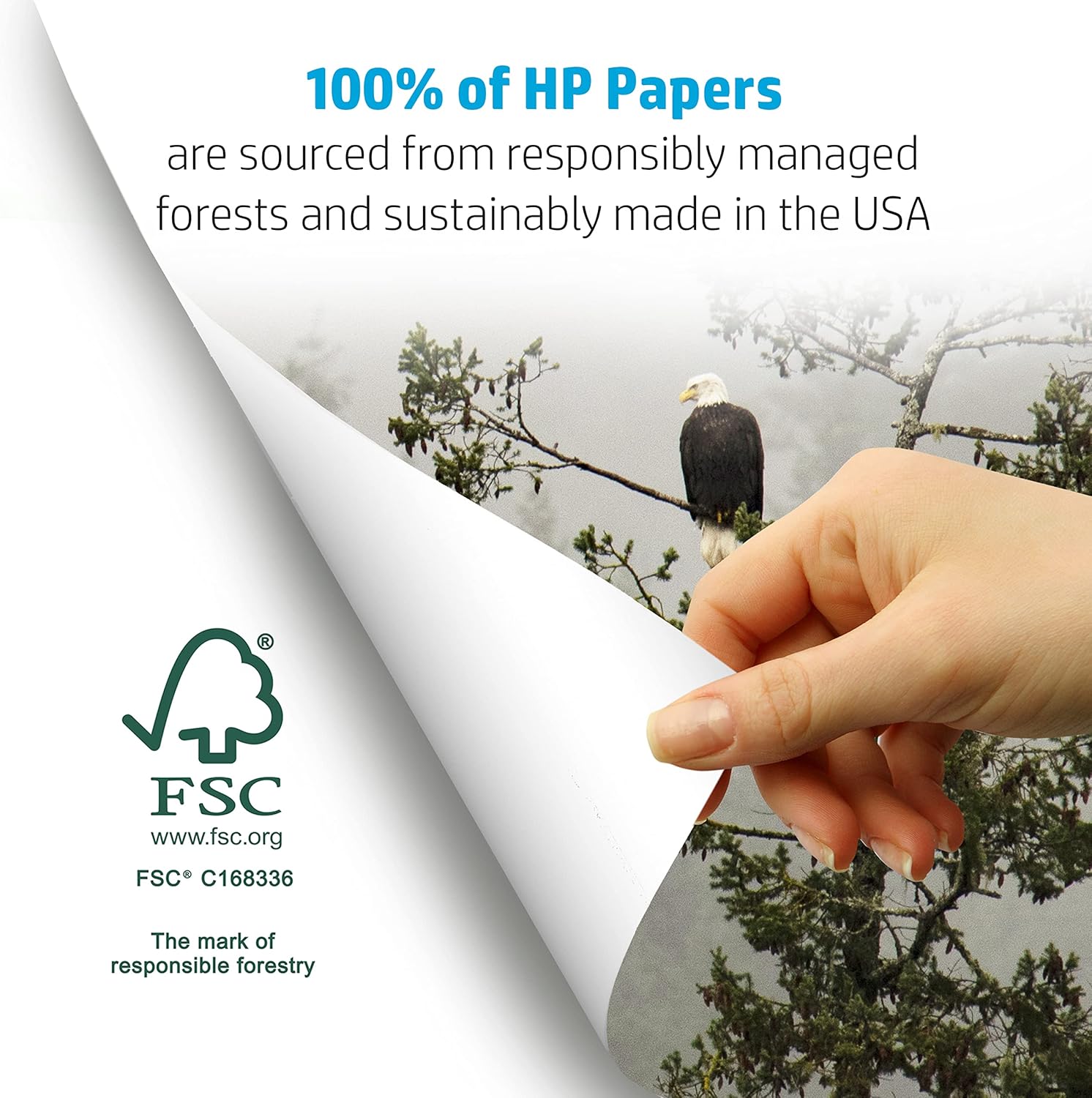 HP Papers Printer Paper, 8.5 x 11, 500 Sheets - In use