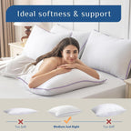 JOLLYVOGUE Firm Queen Pillows Set of 2 - Size reference
