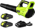 Cordless Leaf Blower with Battery and Charger