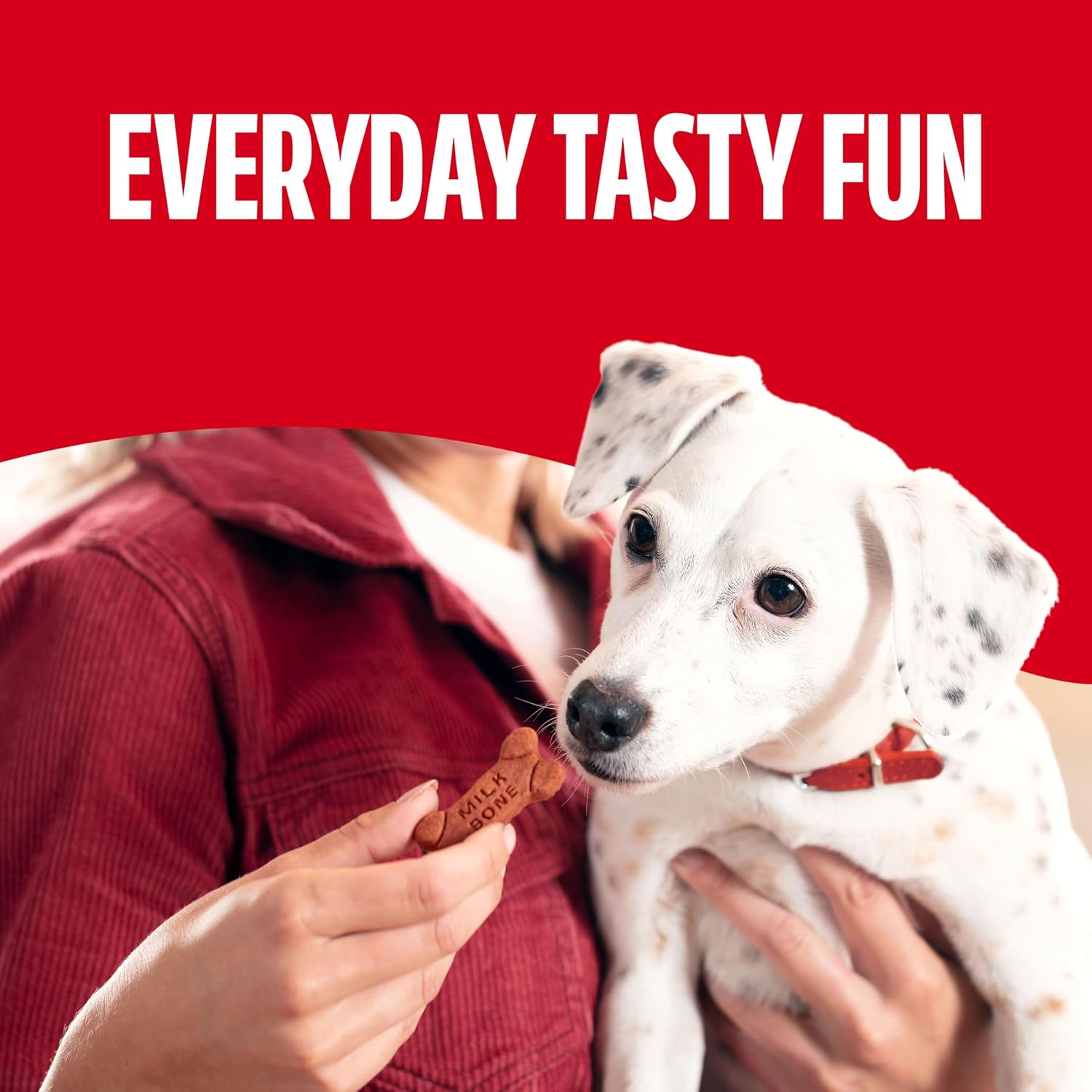Milk-Bone Soft & Chewy Dog Treats, Beef & Filet Mignon - In use