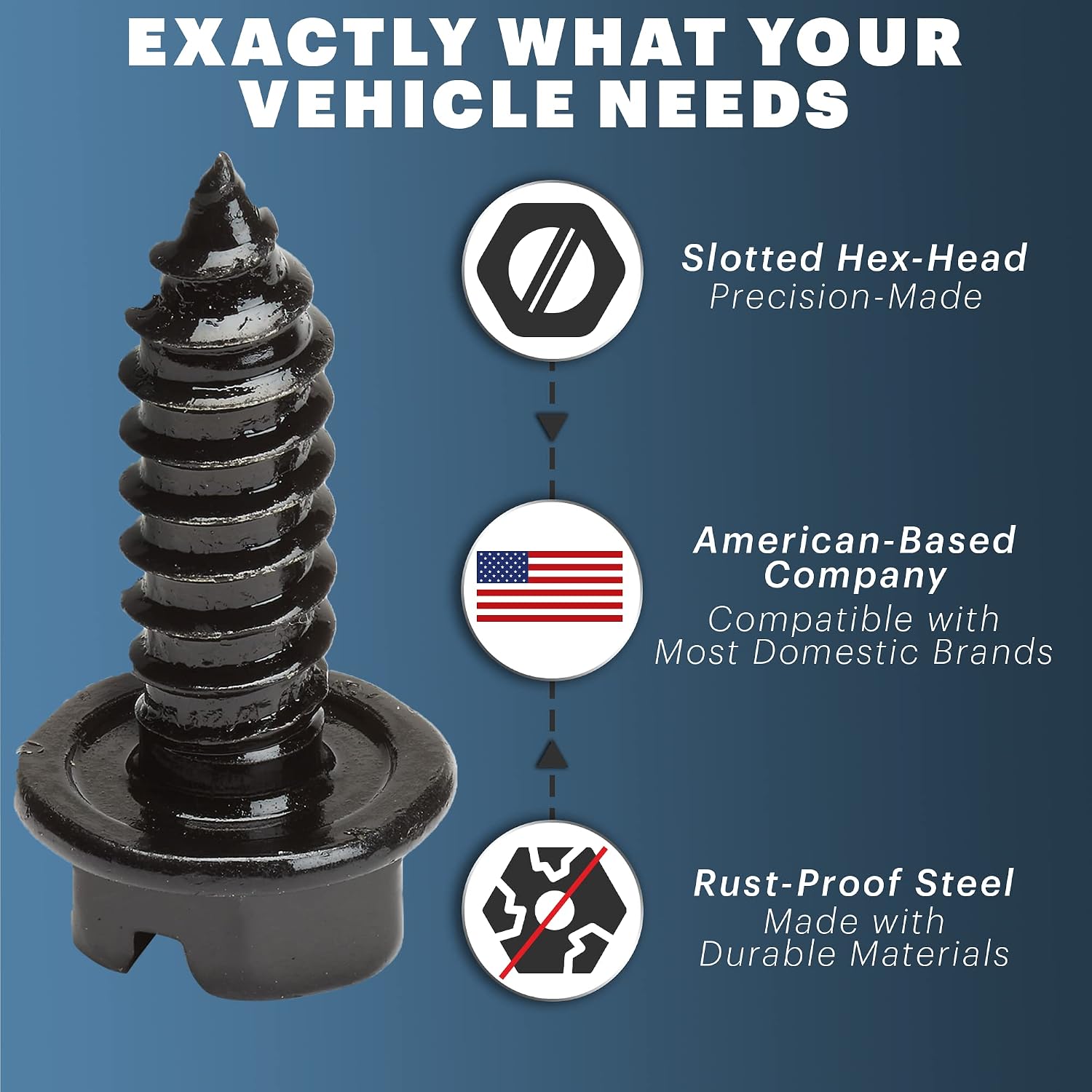 OttoSpeed Rustproof License Plate Screws, 4-Pack - Close-up