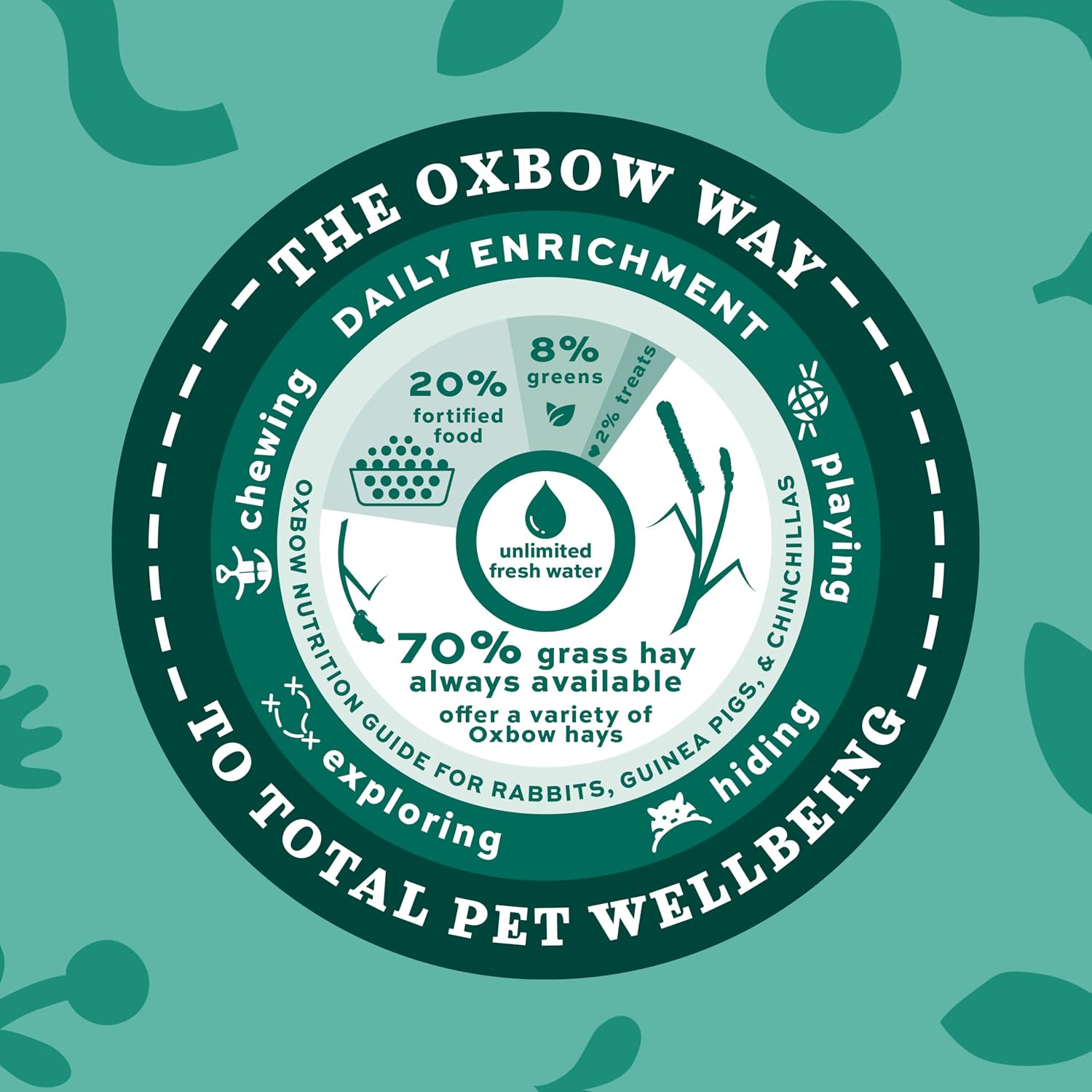 Oxbow Western Timothy Hay for Small Pets, 90oz - Detail view