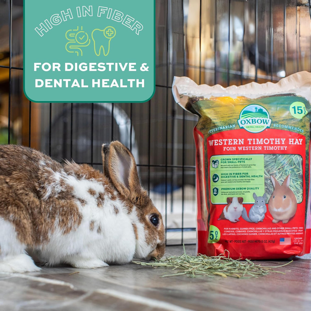 Oxbow Western Timothy Hay for Small Pets, 90oz - Size reference