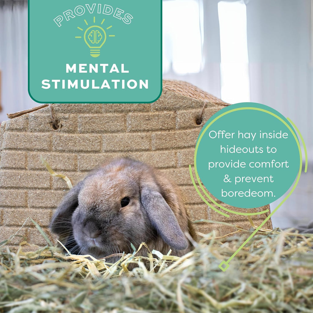 Oxbow Western Timothy Hay for Small Pets, 90oz - In use