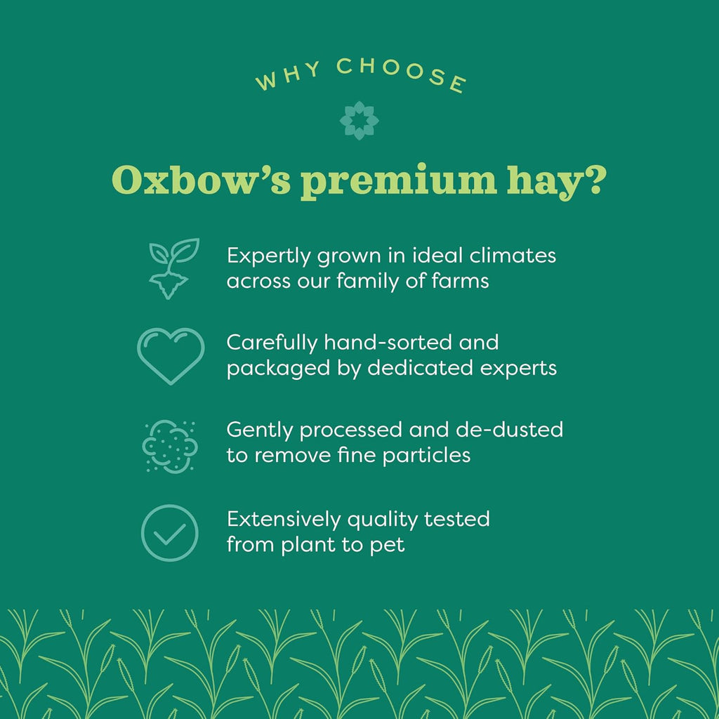 Oxbow Western Timothy Hay for Small Pets, 90oz - Packaging