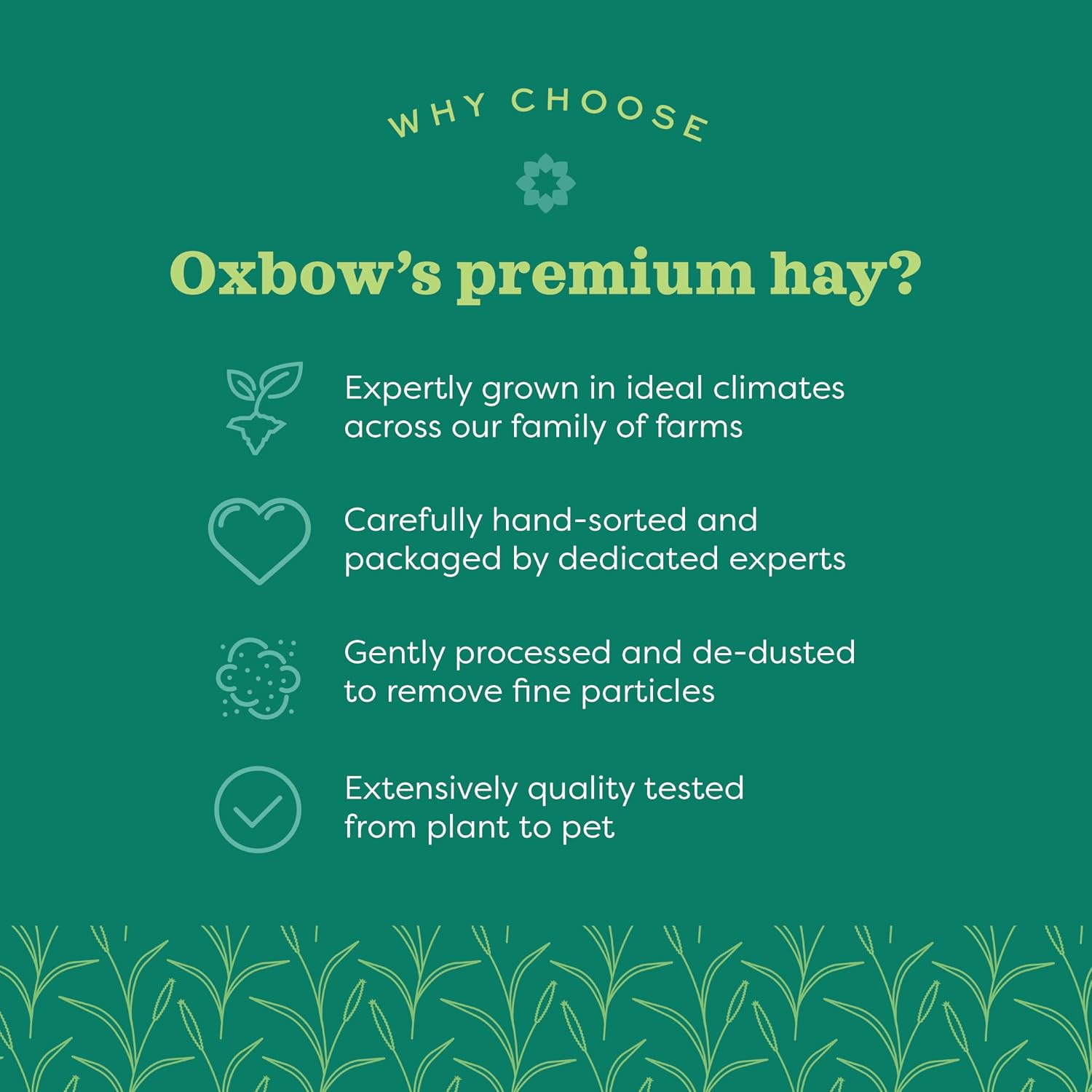 Oxbow Western Timothy Hay for Small Pets, 90oz - Packaging
