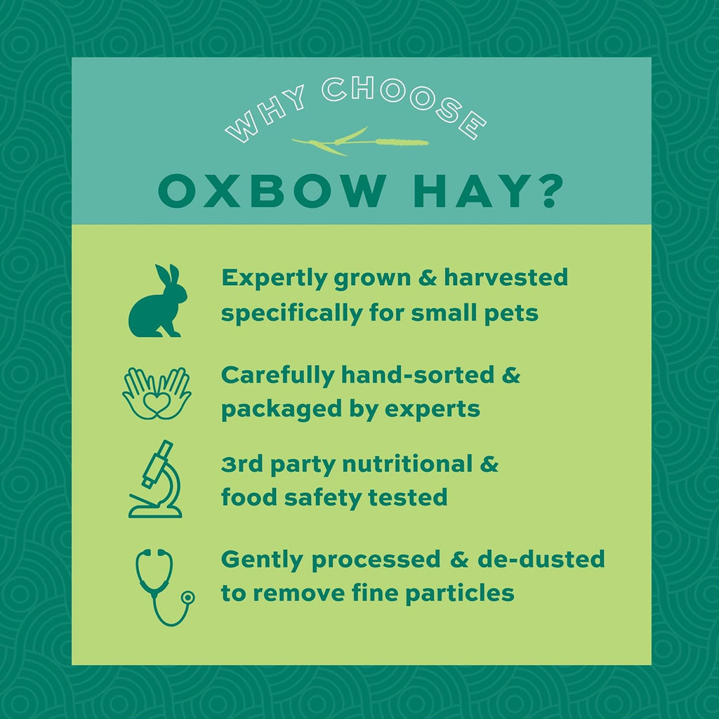 Oxbow Western Timothy Hay for Small Pets, 90oz - Size reference