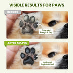 PawSono Dog Paw and Nose Balm, 1.3 oz - Close-up