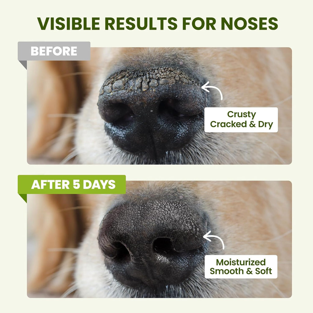 PawSono Dog Paw and Nose Balm, 1.3 oz - Size reference