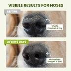 PawSono Dog Paw and Nose Balm, 1.3 oz - Size reference