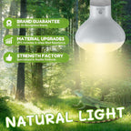 Reptile Heat Lamp Bulbs, 100W, 2 Pack - Detail view