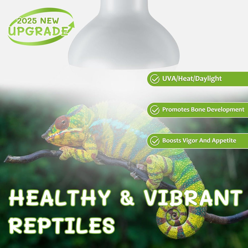 Reptile Heat Lamp Bulbs, 100W, 2 Pack - Close-up
