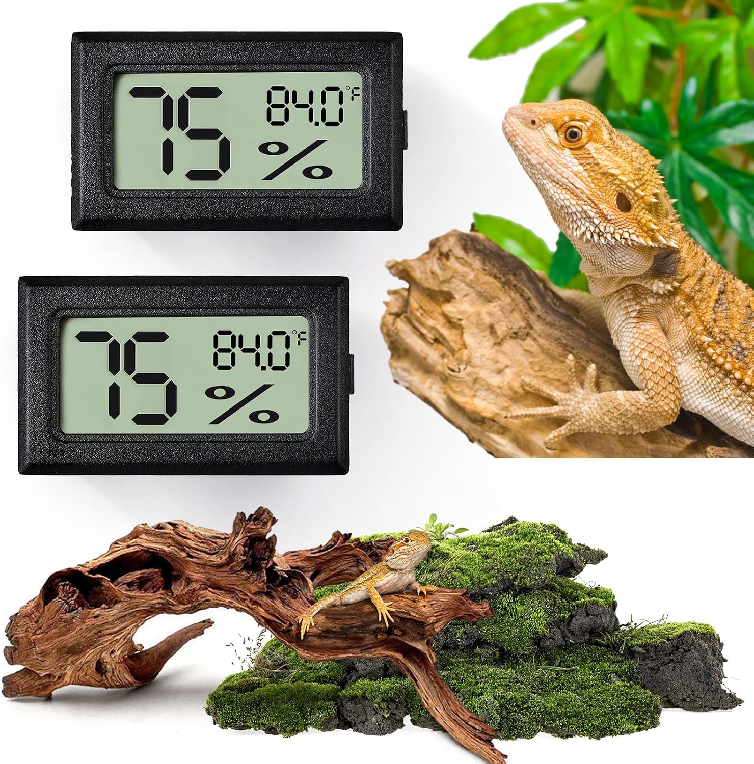 Digital Reptile Thermometer & Humidity Gauge 2-Pack