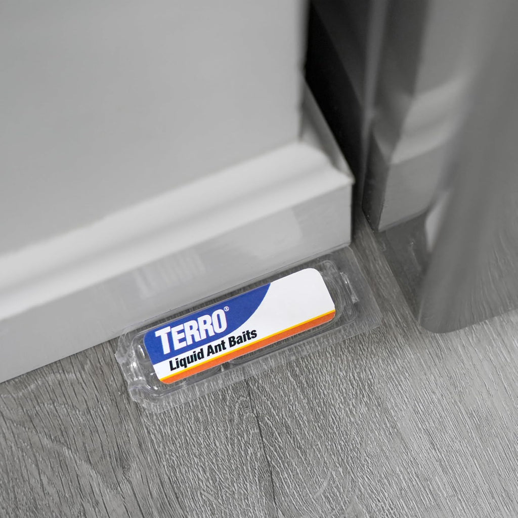 Terro T300B Ant Killer Bait Stations, 12 Ct - In use