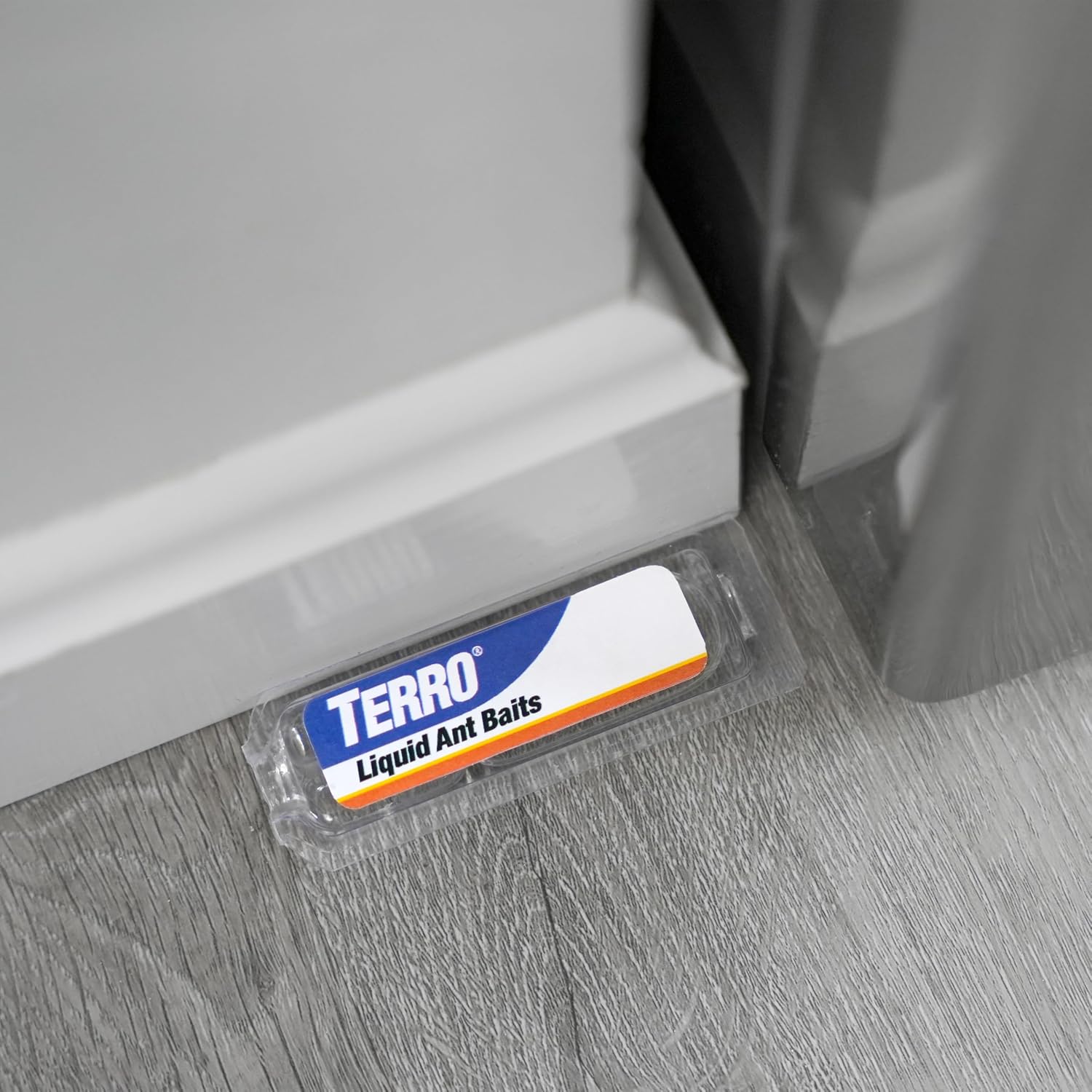 Terro T300B Ant Killer Bait Stations, 12 Ct - In use
