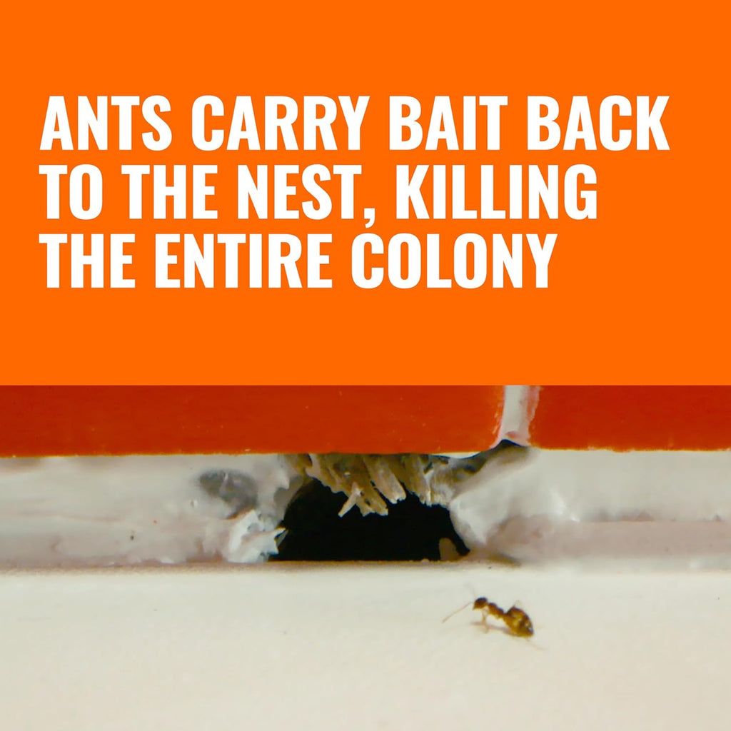 Terro T300B Ant Killer Bait Stations, 12 Ct - Alternate angle