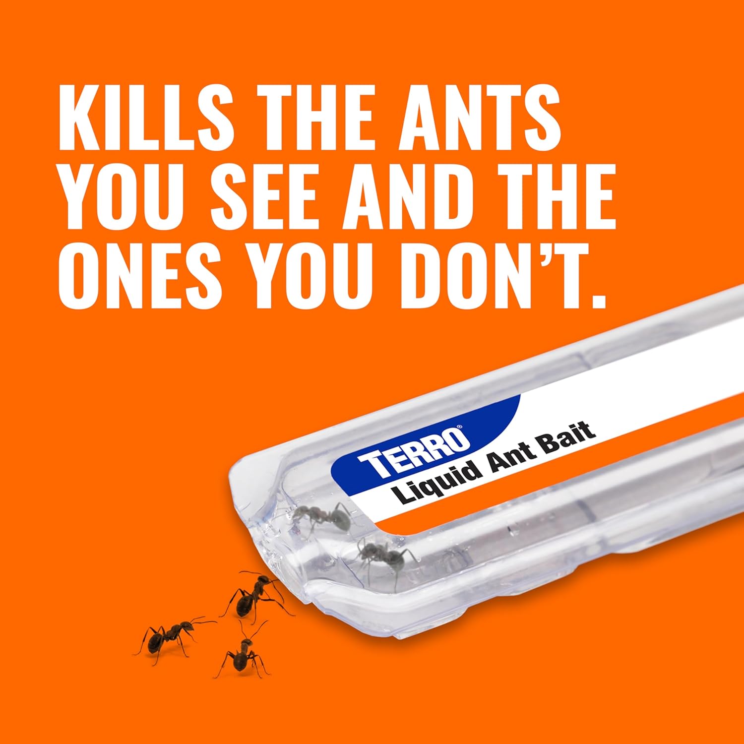 Terro T300B Ant Killer Bait Stations, 12 Ct - Close-up