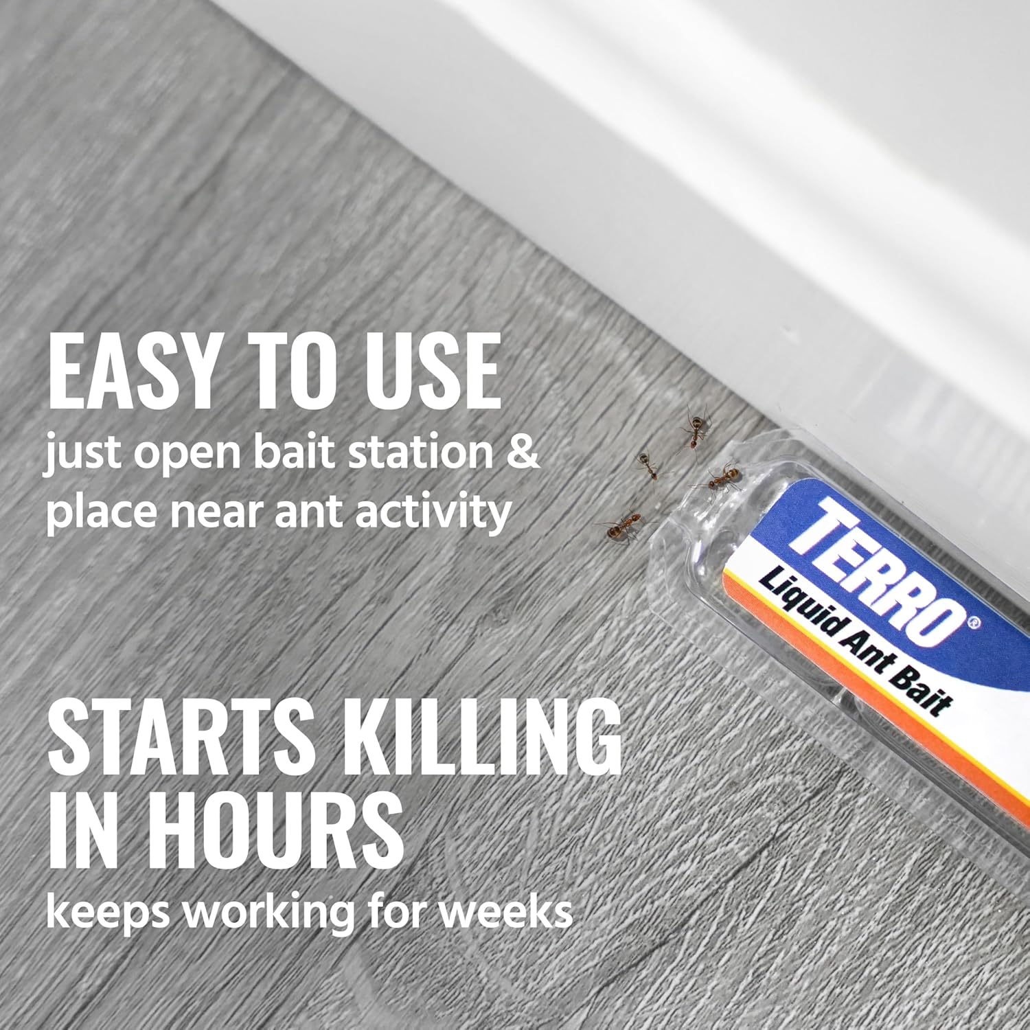 Terro T300B Ant Killer Bait Stations, 12 Ct - Size reference