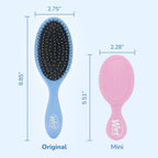 Wet Brush Detangler for Curly Thick Hair - Size reference