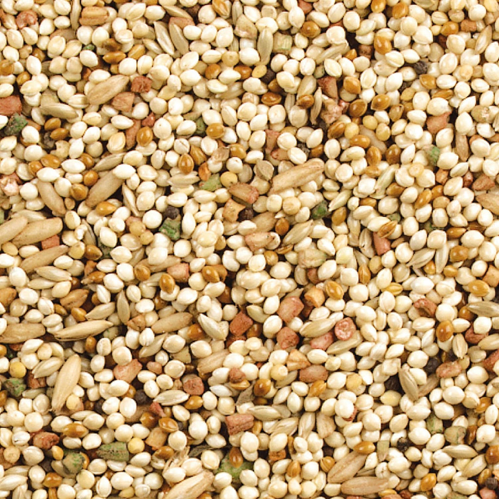 Wild Harvest Daily Blend Bird Food 10 lb - Alternate angle