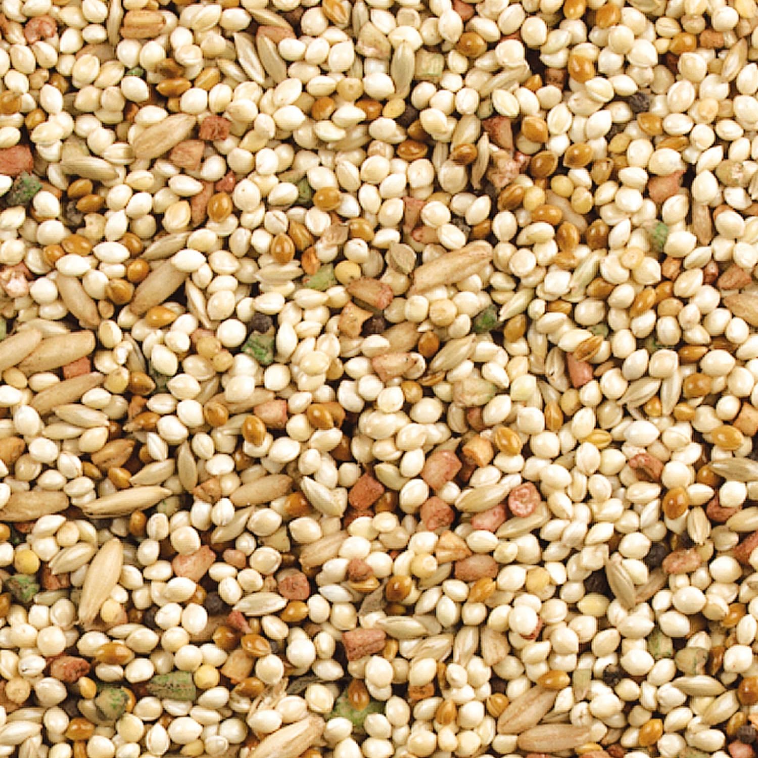 Wild Harvest Daily Blend Bird Food 10 lb - Alternate angle