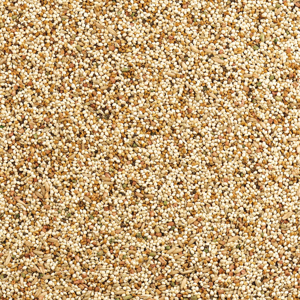 Wild Harvest Daily Blend Bird Food 10 lb - Close-up