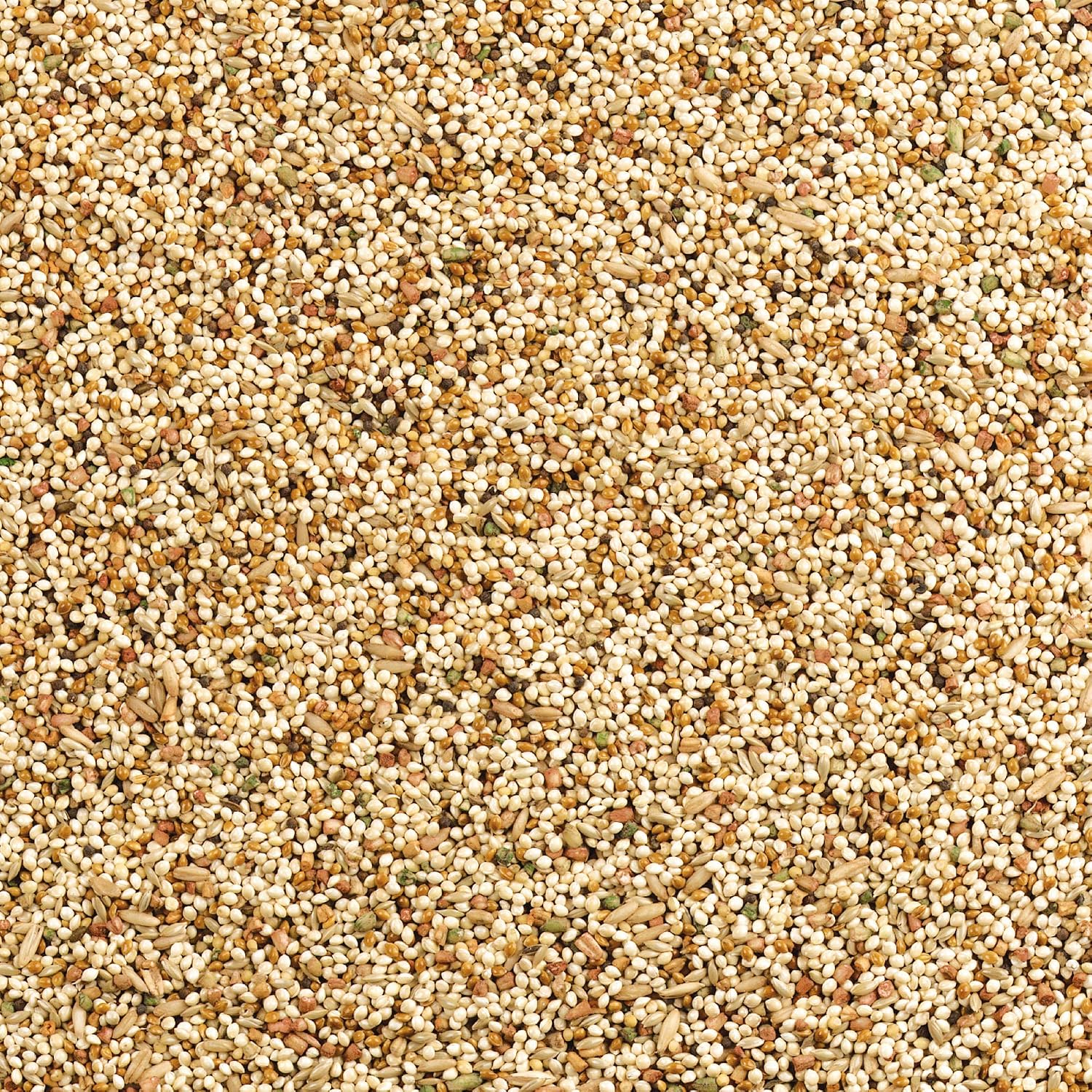 Wild Harvest Daily Blend Bird Food 10 lb - Close-up